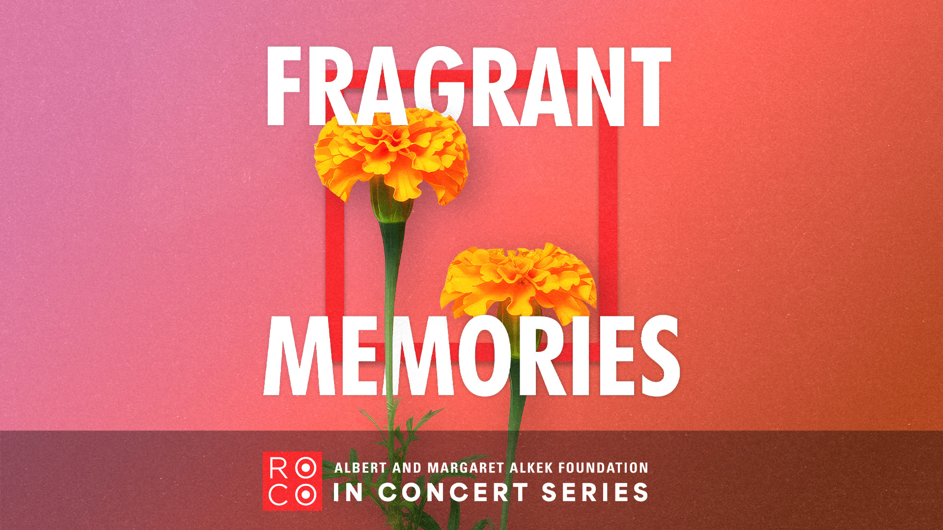 ROCO In Concert: Fragrant Memories - Marigold flowers
